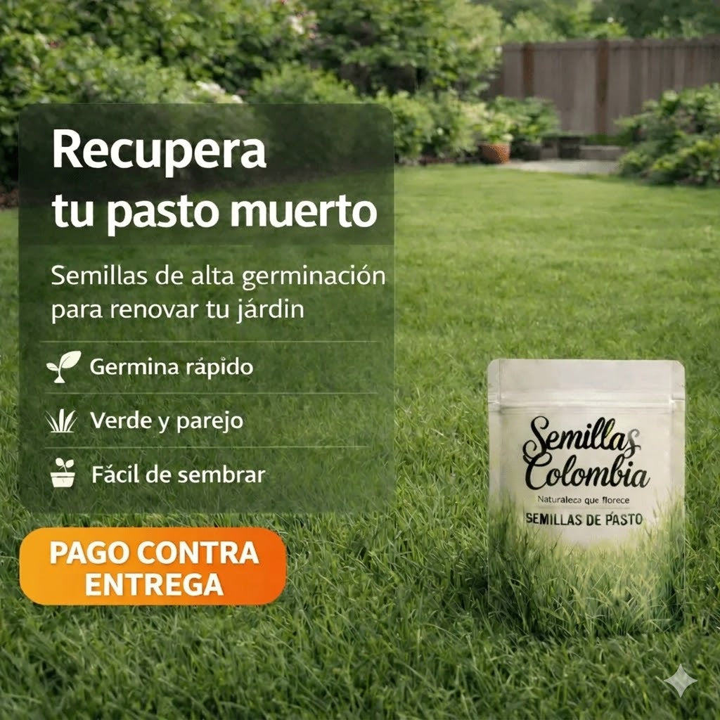 🌱Semillas de Pasto Autoreparable - Cubre hasta 15 m2