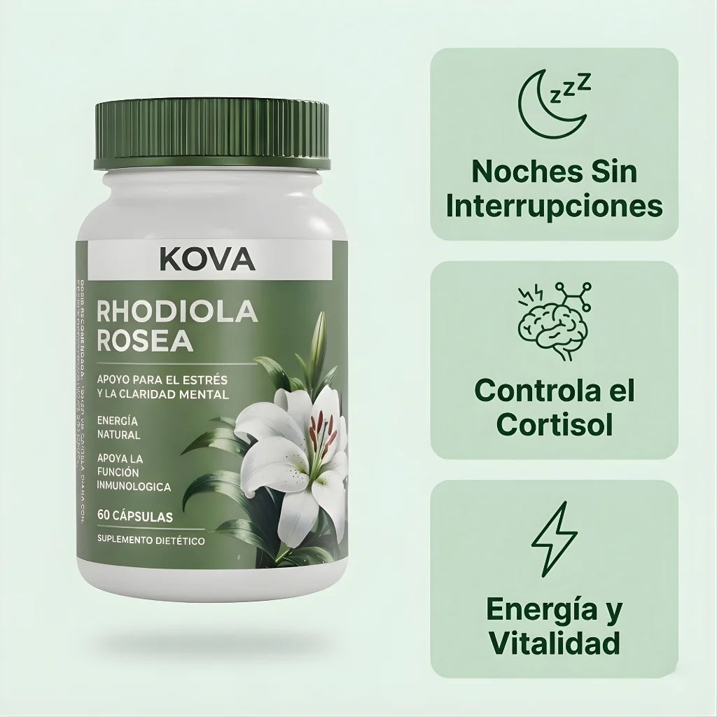 Rhodiola Rosea – mas energia y mejor forma