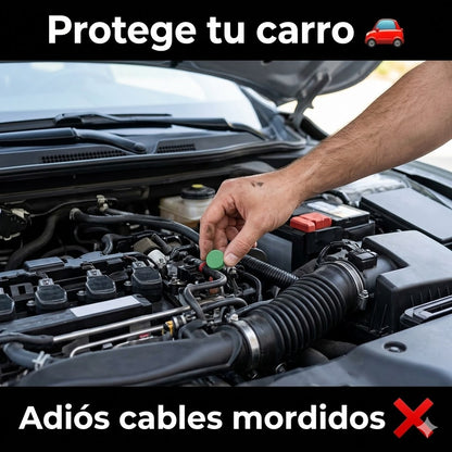 Dile adios a las plagas - Repelente de roedores